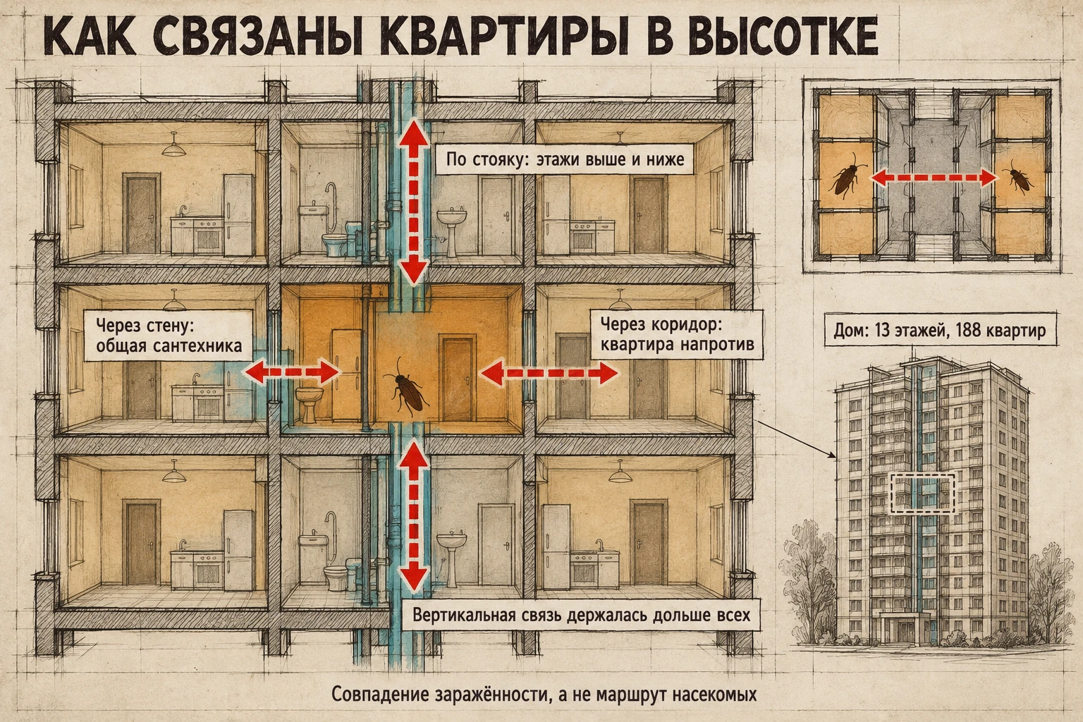 Разрез трёхэтажного фрагмента дома. От выделенной квартиры красные стрелки ведут к соседу через стену, к квартире напротив через коридор и вверх-вниз по общему стояку; вертикальные стрелки самые толстые.