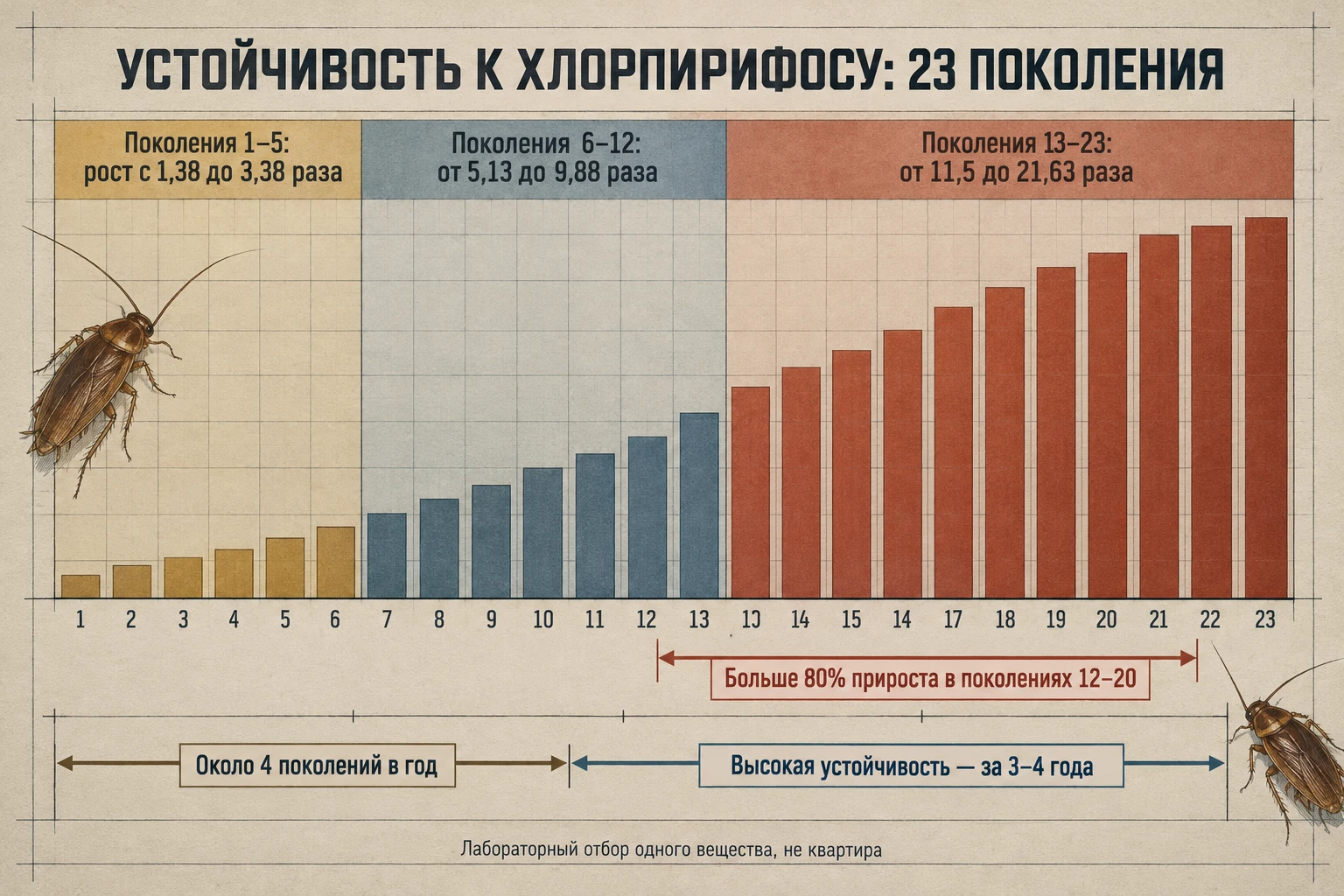 График на чертёжной бумаге: столбики коэффициента устойчивости к хлорпирифосу растут по 23 поколениям в три цветные фазы, от 1,38 до 21,63 раза, под ними шкала в годах с отметкой 3–4 года